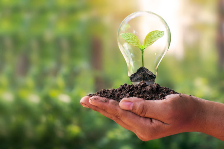 Conserving energy  Lightbulb growing plant in soil | How to live more sustainably in Ireland | An Post Insurance