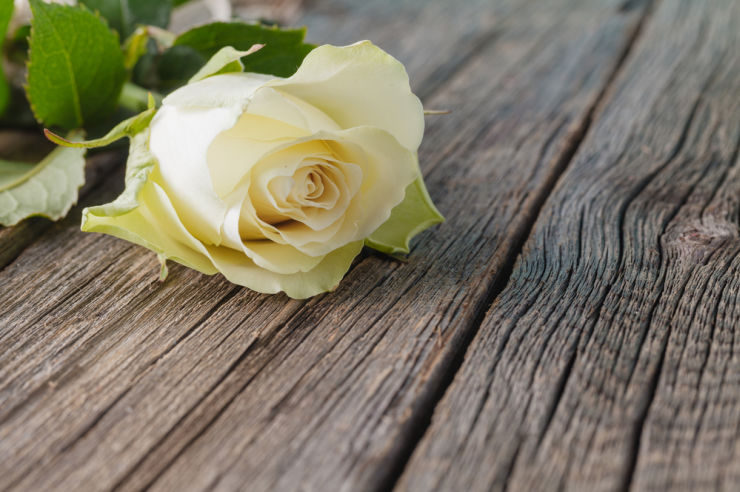 Funeral Survey 740 x 492 Funeral Survey | Funeral Insurance | An Post Insurance