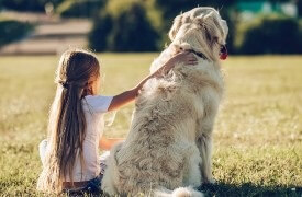 Protecting your pets | Pet Insurance | An Post Insurance